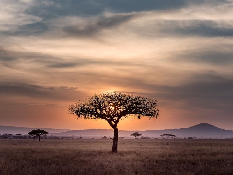 South Africa skyline